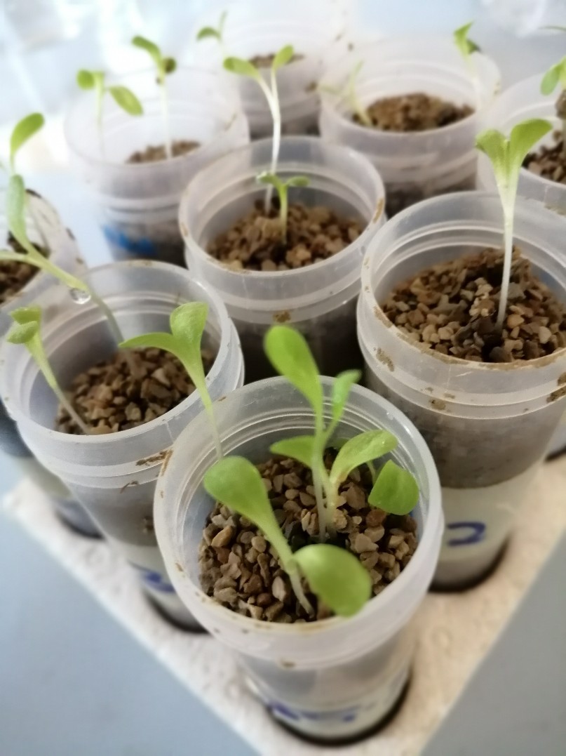 Explore our services