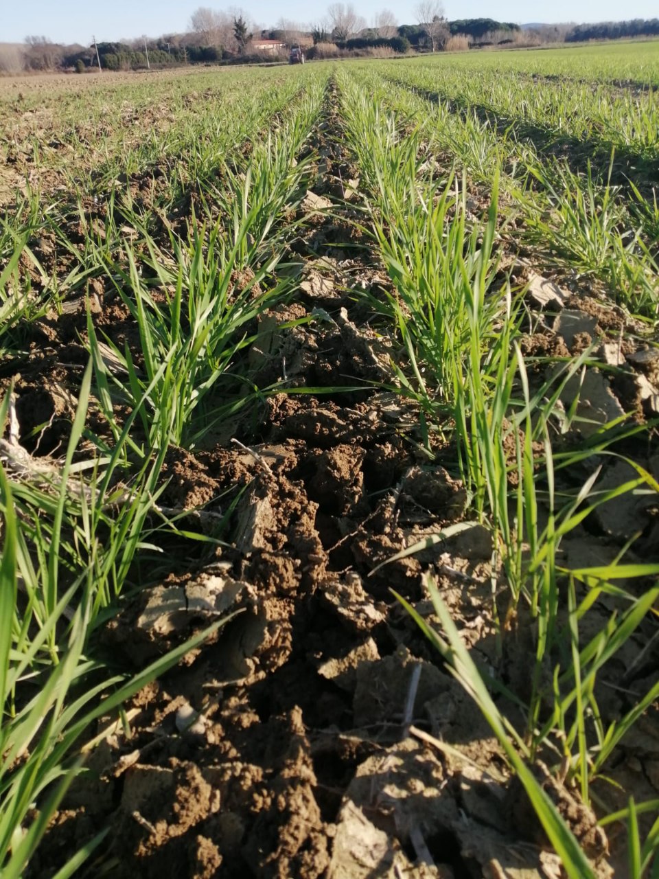 Explore our services